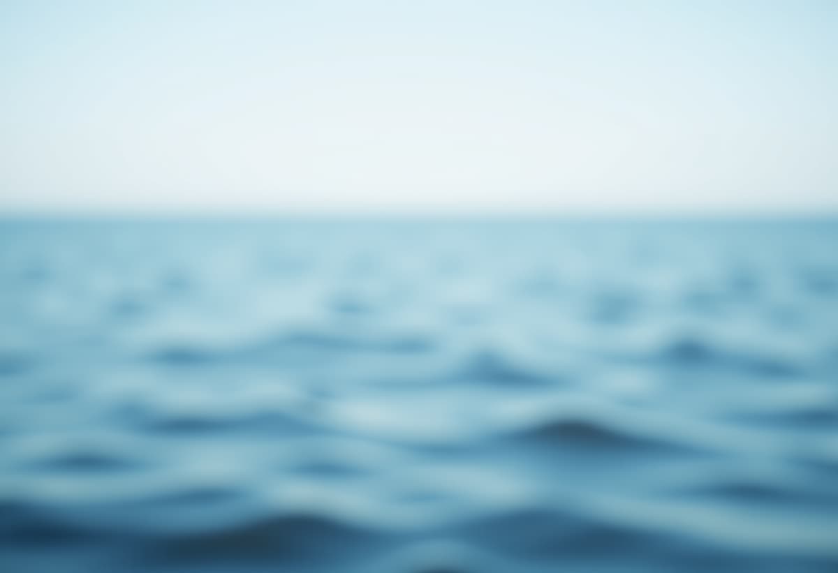 technician inspecting a dishwasher for leaks in Rancho Cordova
