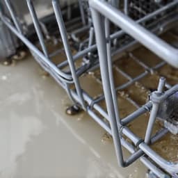 Dishwasher with standing water